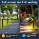 ClearPath - Solar Garden Pathway Lights Outdoor - Kalinzy