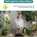 HaloGrow - Adjustable LED Full Spectrum Grow Light For Indoor Plants - Kalinzy