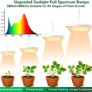 LumaHerb - Full Spectrum Led Grow Light for Indoor Plants - Kalinzy