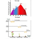 LumaHerb - Full Spectrum Led Grow Light for Indoor Plants - Kalinzy