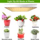 LumaHerb - Full Spectrum Led Grow Light for Indoor Plants - Kalinzy