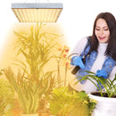 LumaHerb - Full Spectrum Led Grow Light for Indoor Plants - Kalinzy