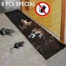 PestGuard – 6 Pack Large Mouse Glue Traps - Kalinzy