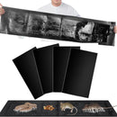 PestGuard – 6 Pack Large Mouse Glue Traps - Kalinzy