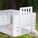 SafeCatch – Humane Reusable Mouse Trap - Kalinzy