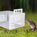 SafeCatch – Humane Reusable Mouse Trap - Kalinzy