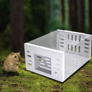 SafeCatch – Humane Reusable Mouse Trap - Kalinzy