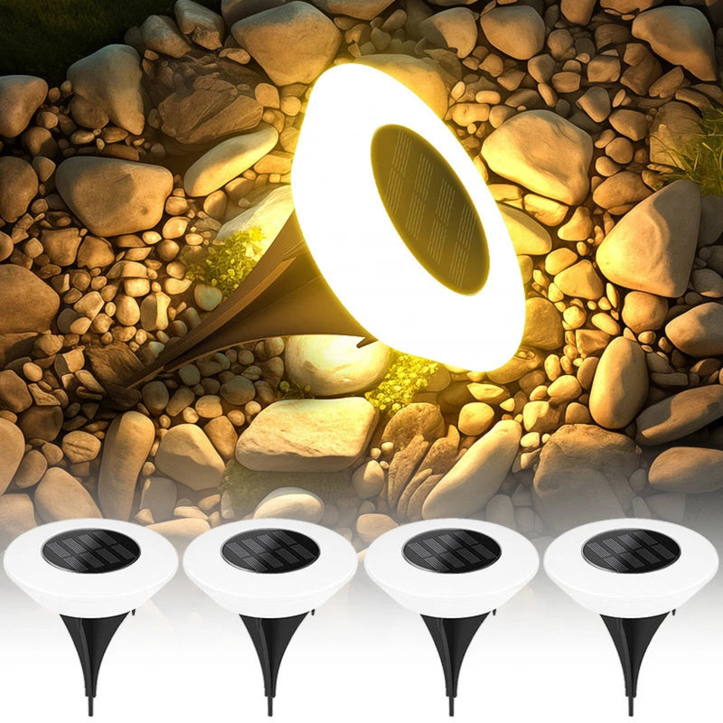 SolarionTerra - Outdoor Pathways Solar Lights - Kalinzy