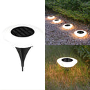 SolarionTerra - Outdoor Pathways Solar Lights - Kalinzy