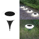 SolarionTerra - Outdoor Pathways Solar Lights - Kalinzy
