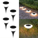 SolarionTerra - Outdoor Pathways Solar Lights - Kalinzy