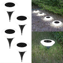 SolarionTerra - Outdoor Pathways Solar Lights - Kalinzy