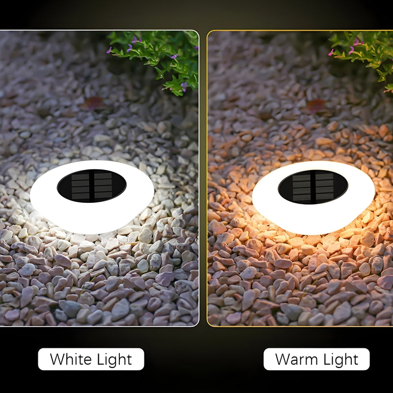 SolarionTerra - Outdoor Pathways Solar Lights - Kalinzy