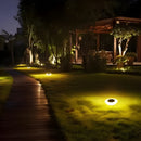 SolarionTerra - Outdoor Pathways Solar Lights - Kalinzy