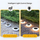 SolarionTerra - Outdoor Pathways Solar Lights - Kalinzy