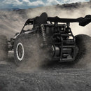 SpeedRider – Off Road RC Cars With Lights - Kalinzy