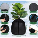 ThermoBloom – Winter Plant Pot Cover - Kalinzy