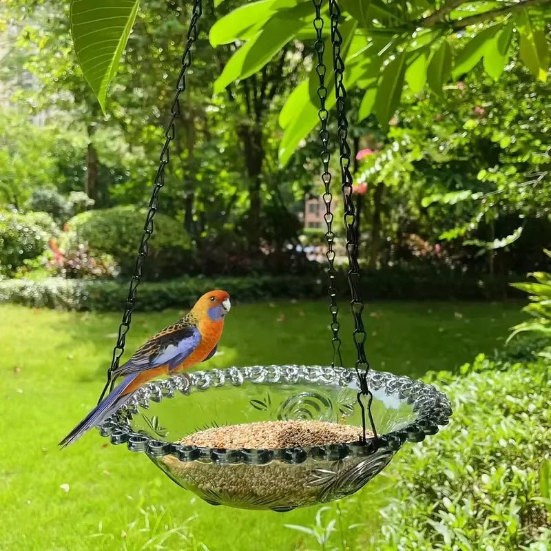 NatureSway - Hanging Bird Feeder - Kalinzy