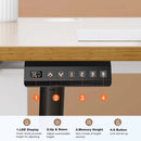 SitStand Adjustable Electric Standing Desk - Kalinzy