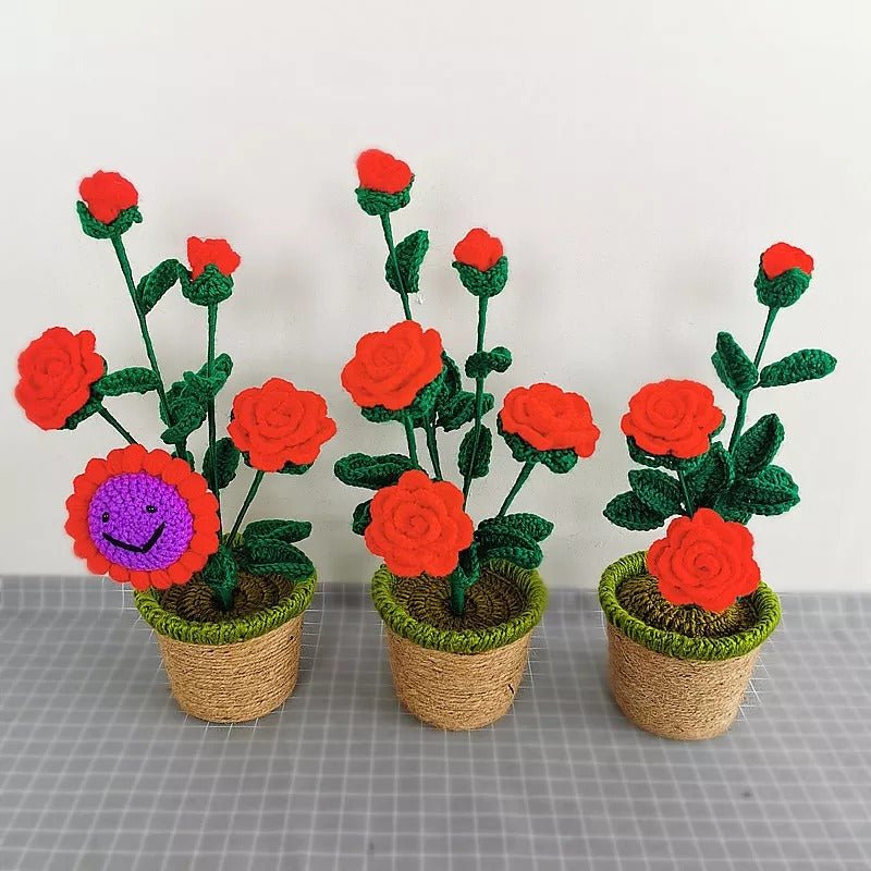 Cute knitted Flower Plants - Kalinzy