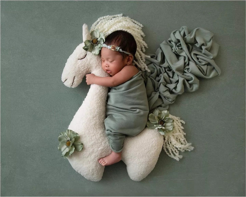 Cute Lama Newborn Pillow - Kalinzy