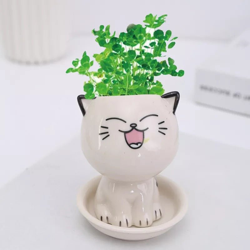 Cute Mini Cat Shaped Ceramic Flowerpot - Kalinzy