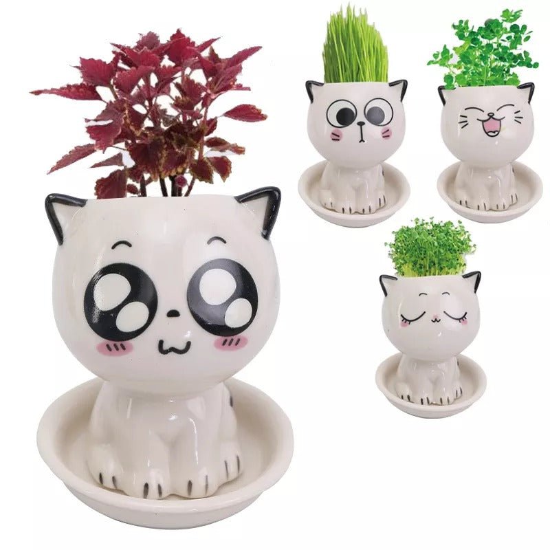 Cute Mini Cat Shaped Ceramic Flowerpot - Kalinzy