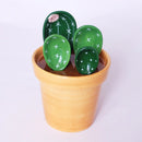 Flower Pot & Cactus Measuring Spoons Set - Kalinzy