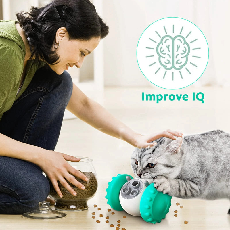 Interactive Dog and Cat Toys Slow Feeder