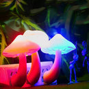 LED Mushroom Night Light Lamp