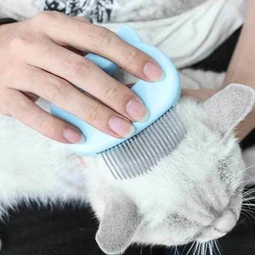 Massage and grooming pleasure for pets