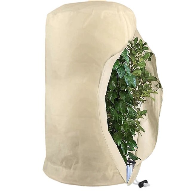 Plant Covers For Winter - Freeze and Frost Protection For Plants