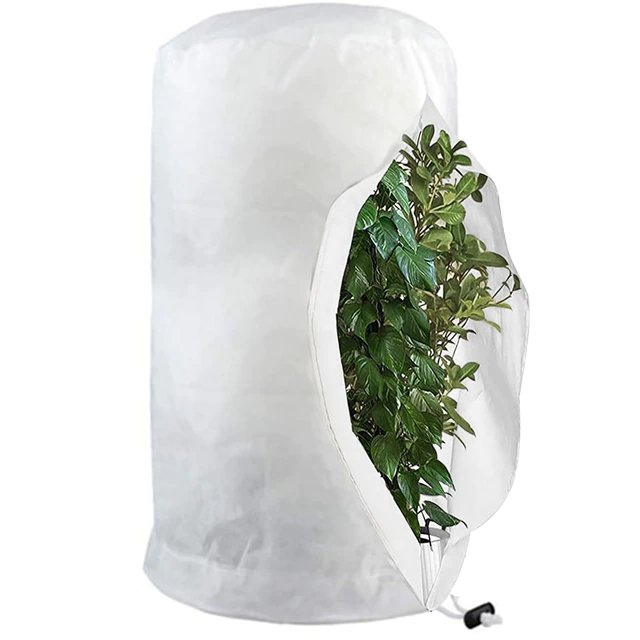 Plant Covers For Winter - Freeze and Frost Protection For Plants