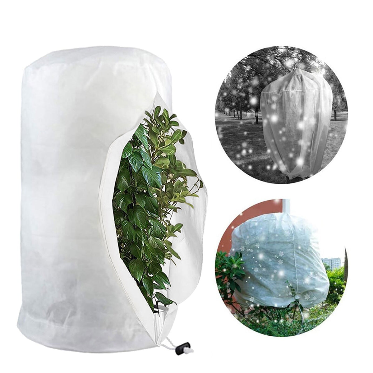 Plant Covers For Winter - Freeze and Frost Protection For Plants