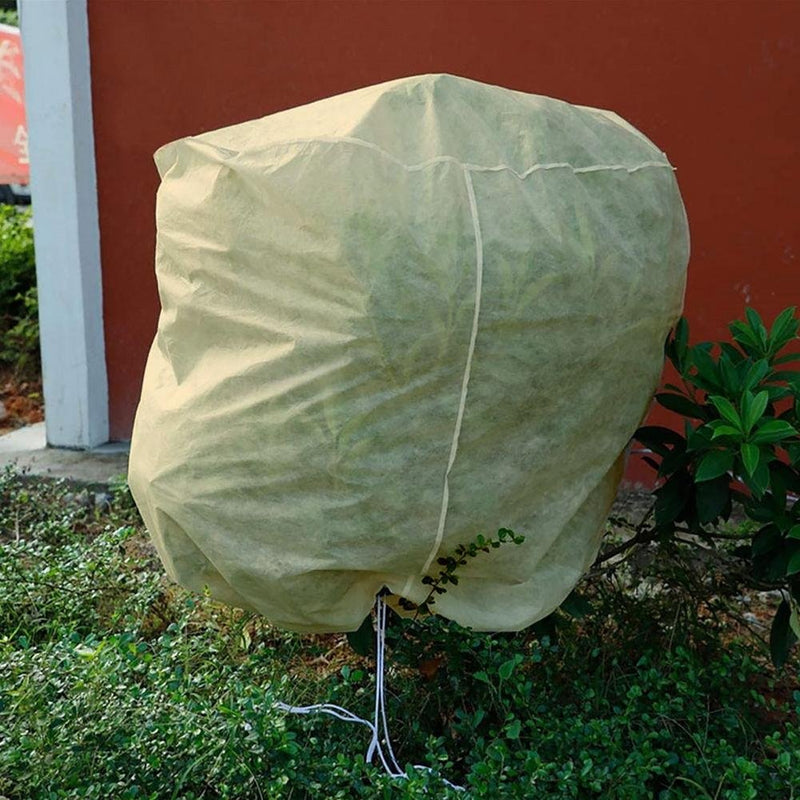 Plant Covers For Winter - Freeze and Frost Protection For Plants