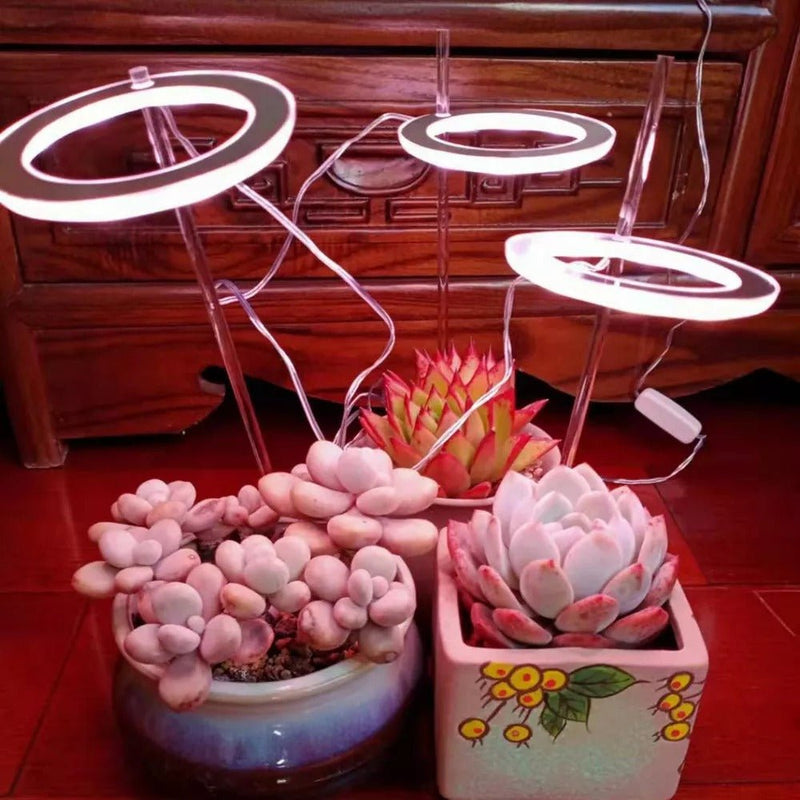 PLANT GLOW™ Plant Grow Light Ring Bulbs