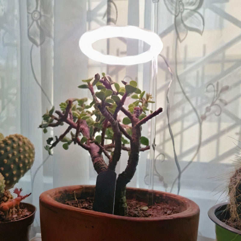 PLANT GLOW™ Plant Grow Light Ring Bulbs